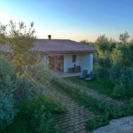 I Secolari Bed & Breakfast Sannicandro di Bari Dış mekan fotoğraf